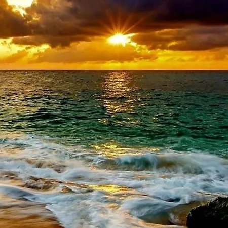 아파트 Playa Cura 또레비에하